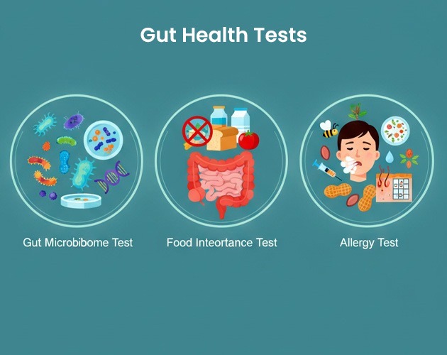 gut health test in Hyderabad